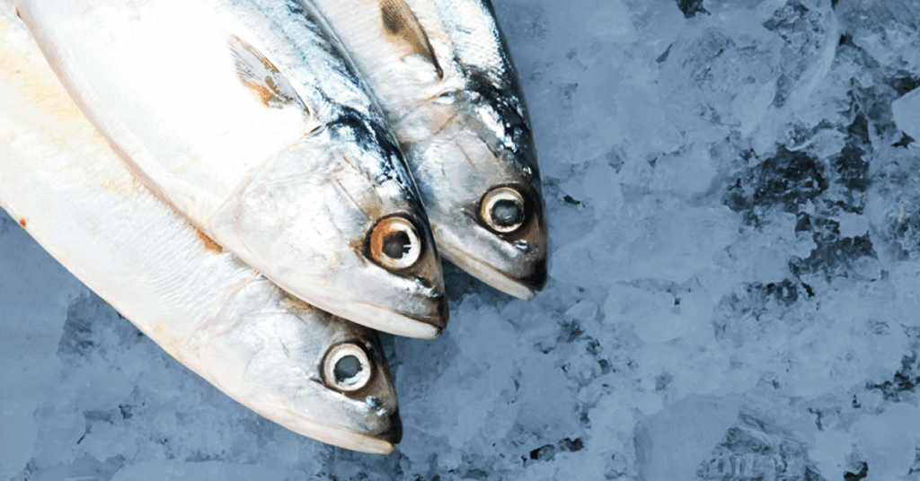 Three whole fish with silvery scales are laid side by side on a bed of crushed ice, with their heads facing forward and eyes visible.